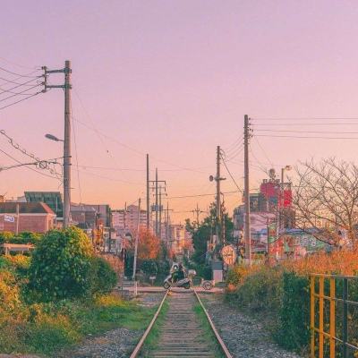 凤凰彩票56677官网入口查询