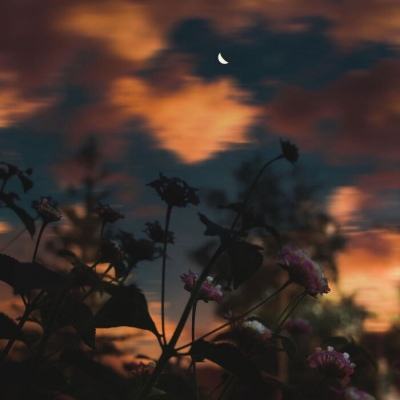 彩神8官网下载手机版