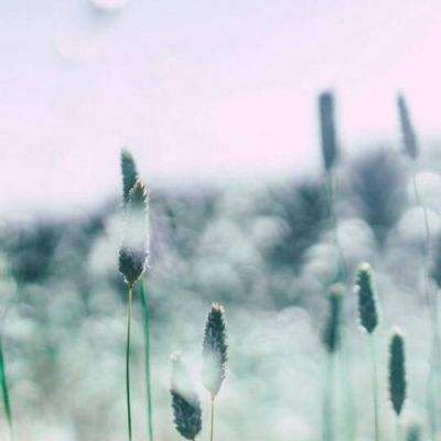 好运彩下载手机版